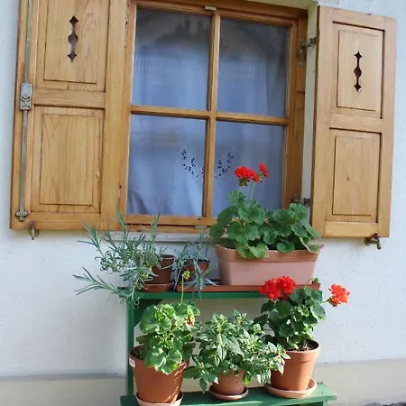 Sleeping In Village * Svečina