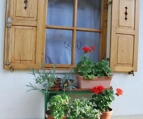 Sleeping In Village * Svecina