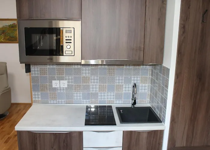 Apartment Sleeping In Village Svecina